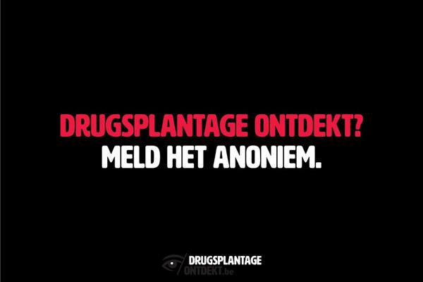 Cannabisplantage aangetroffen bij huiszoeking in Wortel